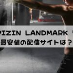 RIZIN LANDMARK 5 in YOYOGIを最安値で視聴する方法