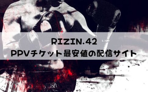 【最安値】RIZIN.42のPPV視聴方法まとめ